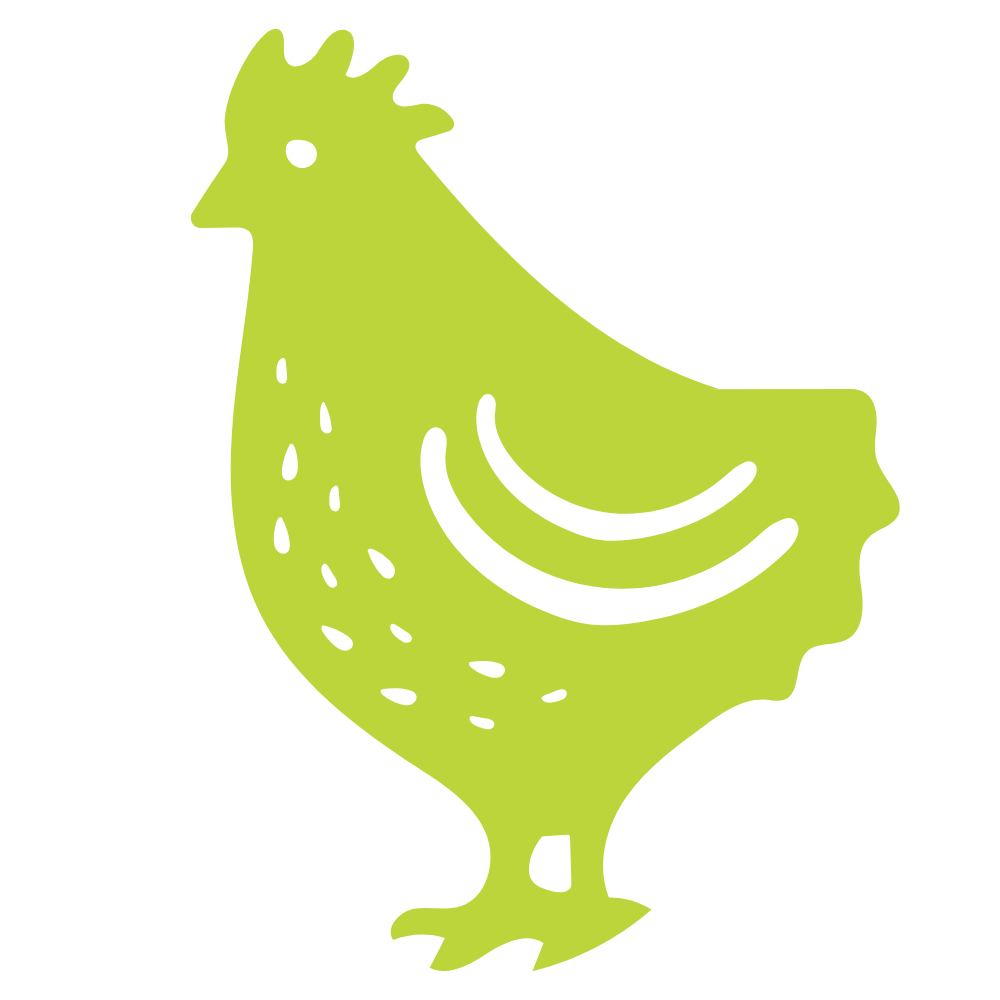 Illustration of a chicken standing.