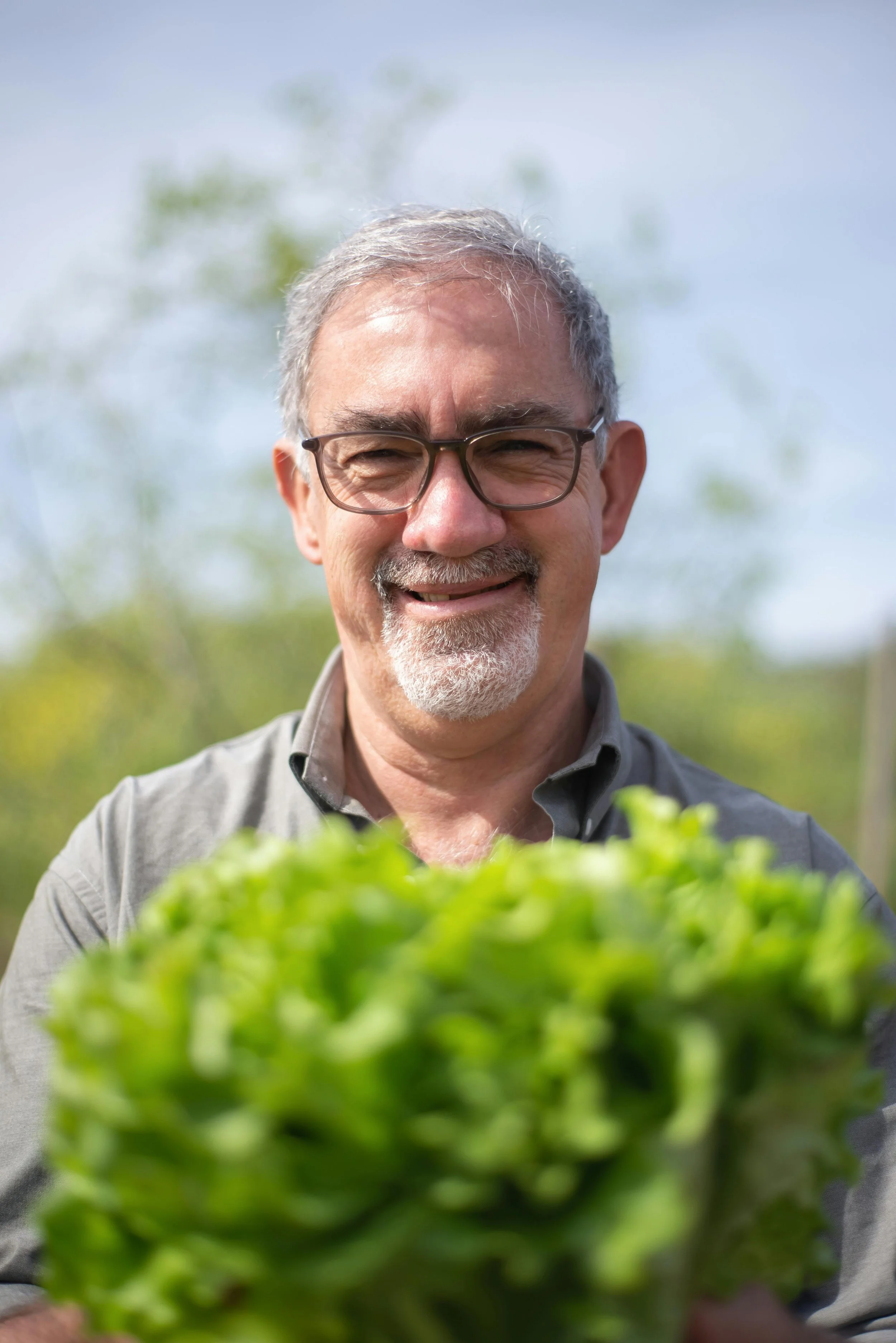 A cheerful man with glasses and gray hair holding fresh green lettuce outdoors with trees and a blue sky in the background.