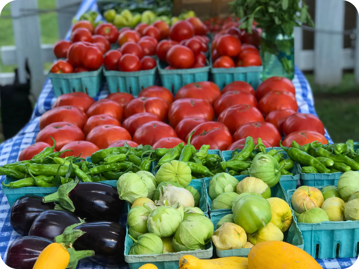 Fresh vegetables including tomatoes, eggplants, peppers, and tomatillos displayed on a table at a farmer's market.