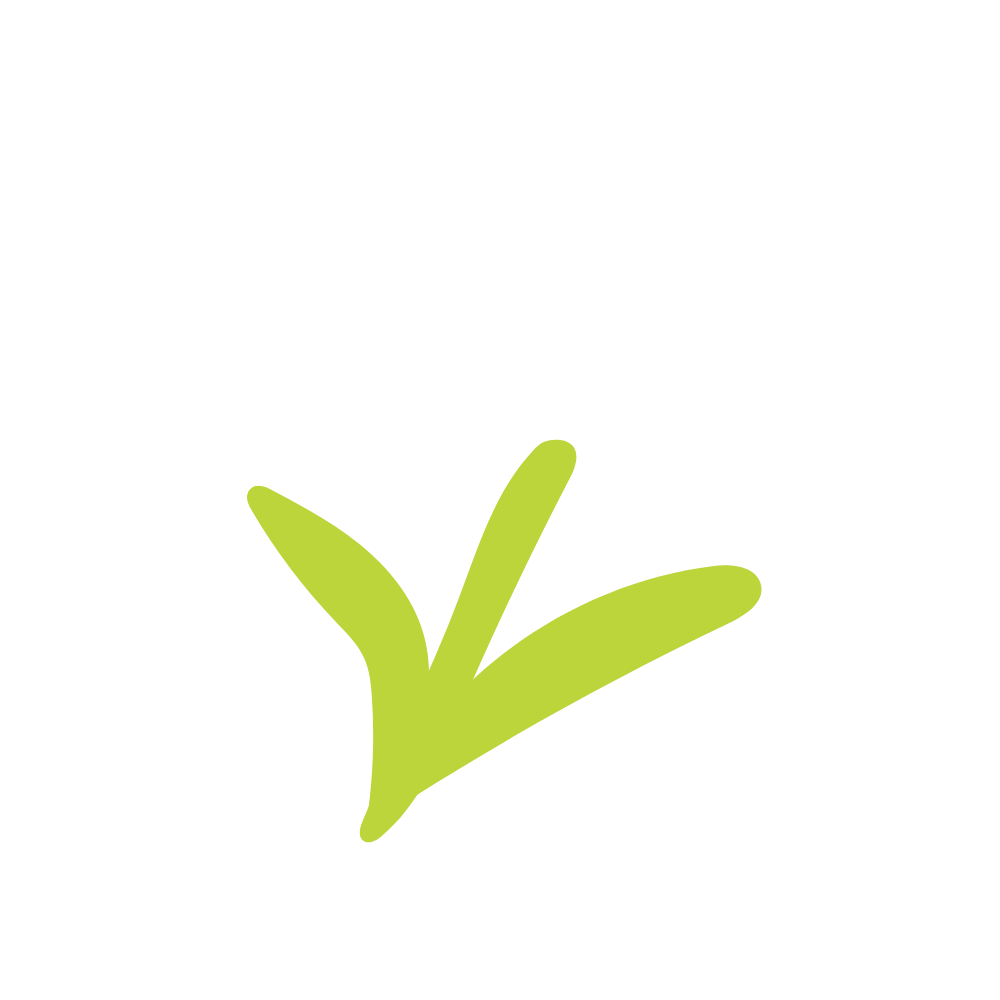 Illustration of a plant sprout.