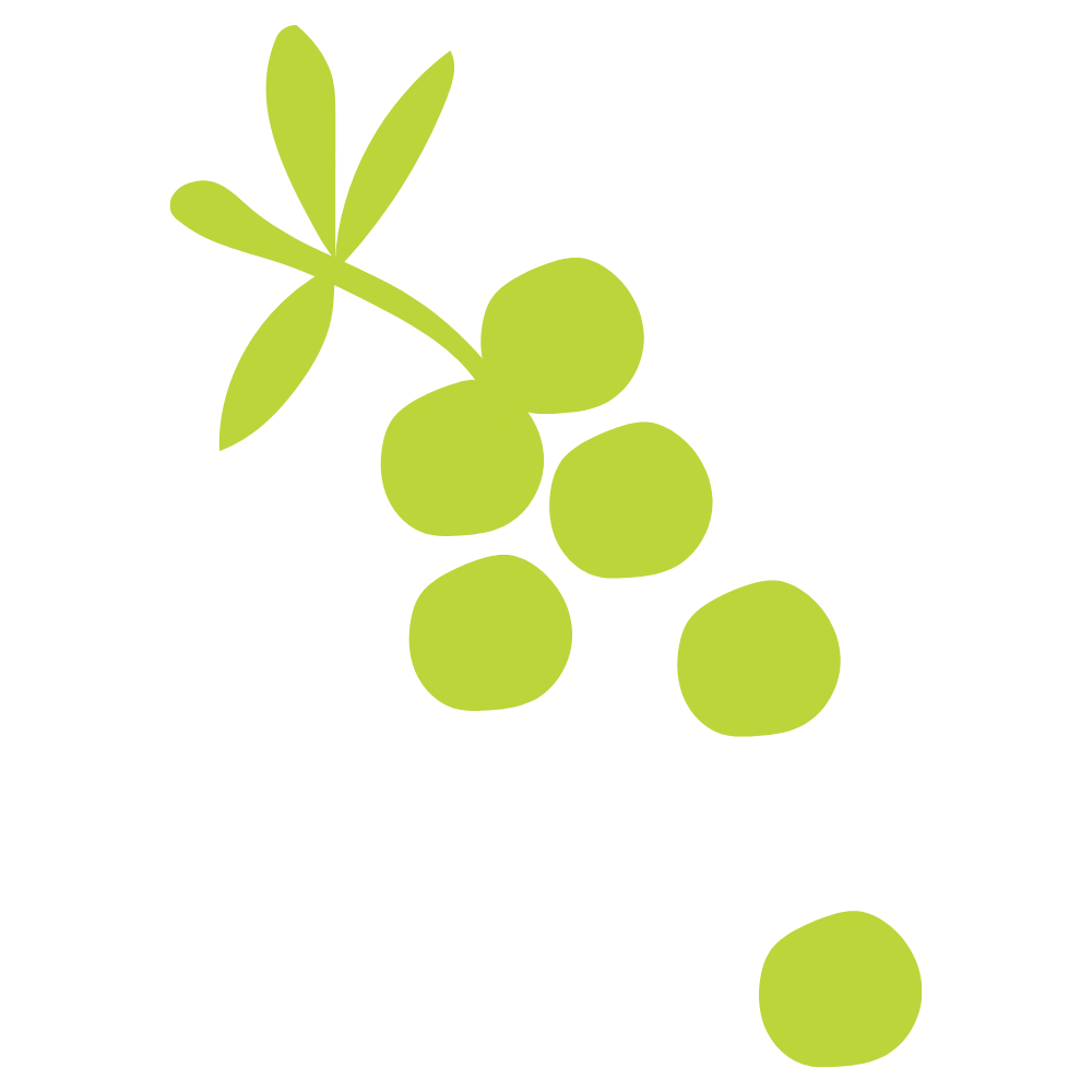 Illustration of a a leafy stem with berries.