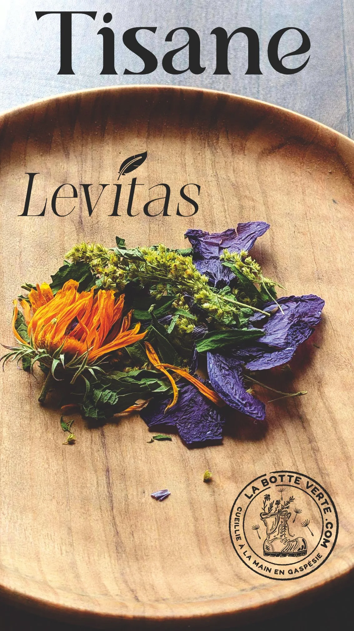 tisane levitas.jpg
