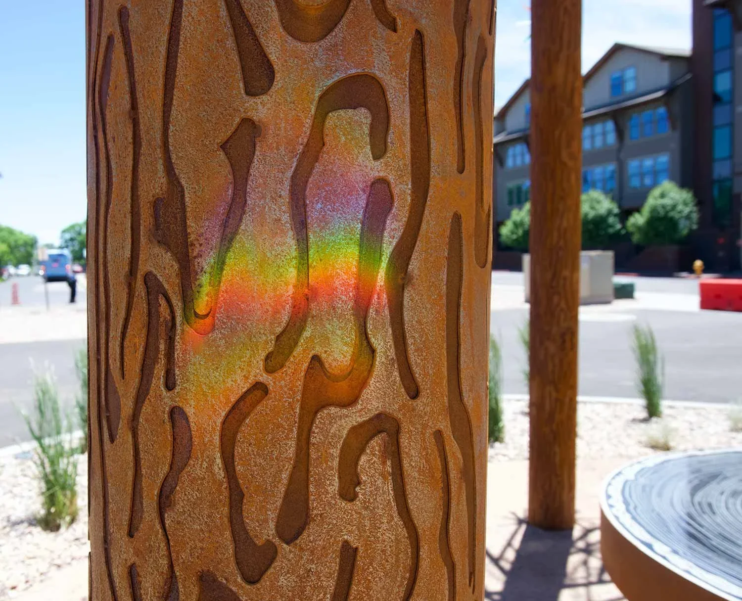 Southside GroveRainbowBark.webp