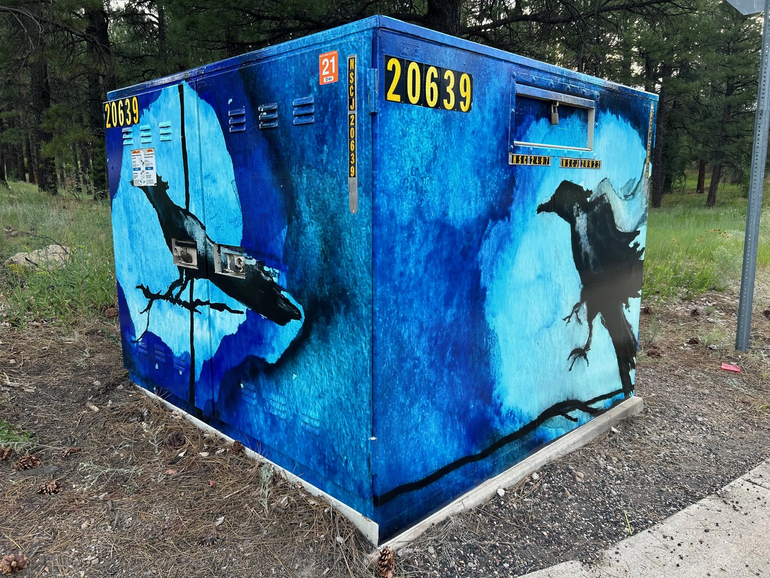 midnight ravens2.jpeg