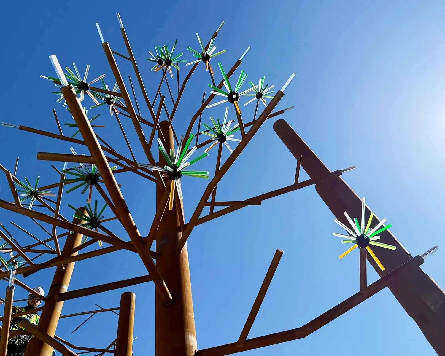 Southside Grove-Needles-looking-up.webp