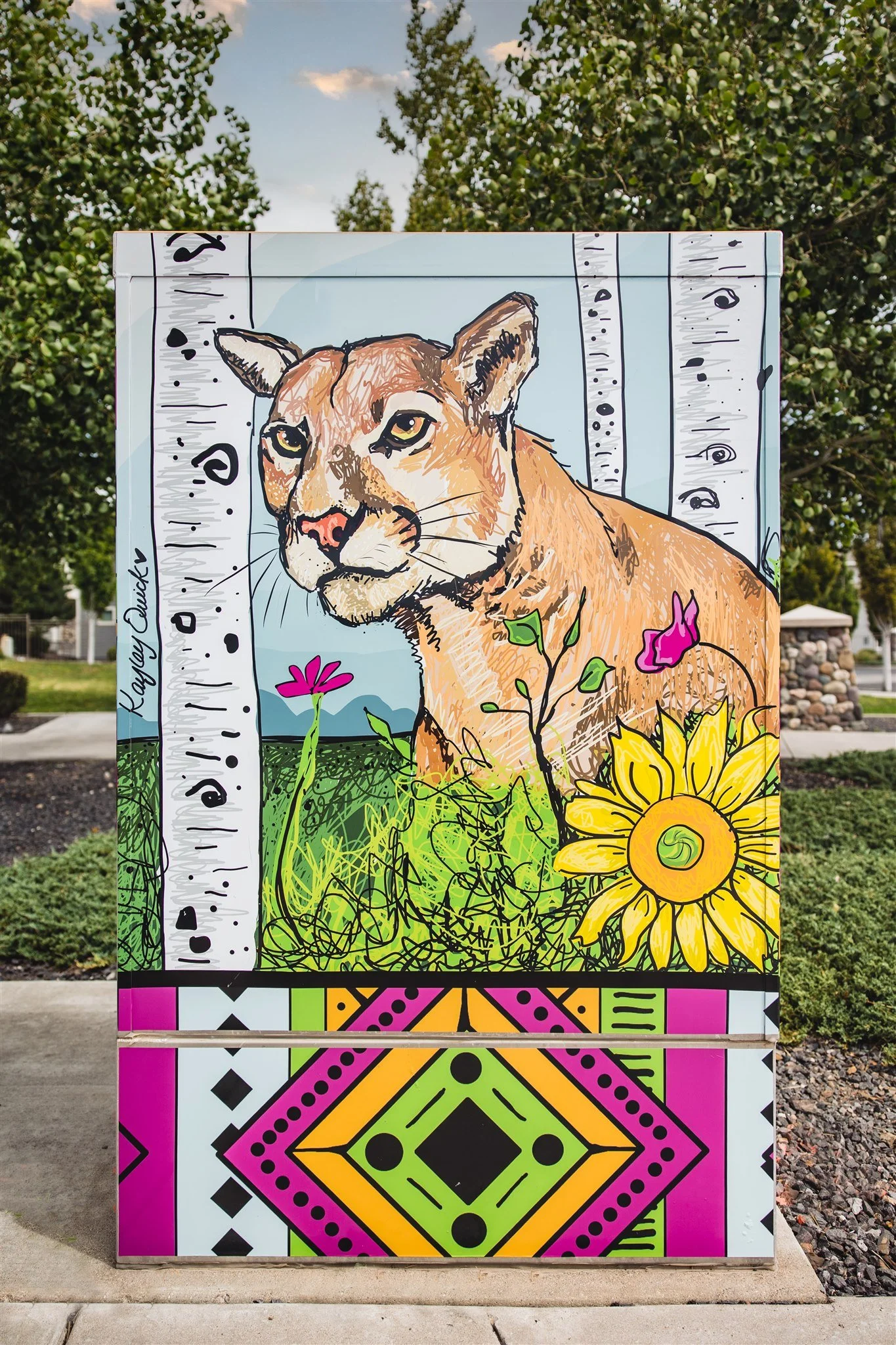 Untitled (Mountain Lion)