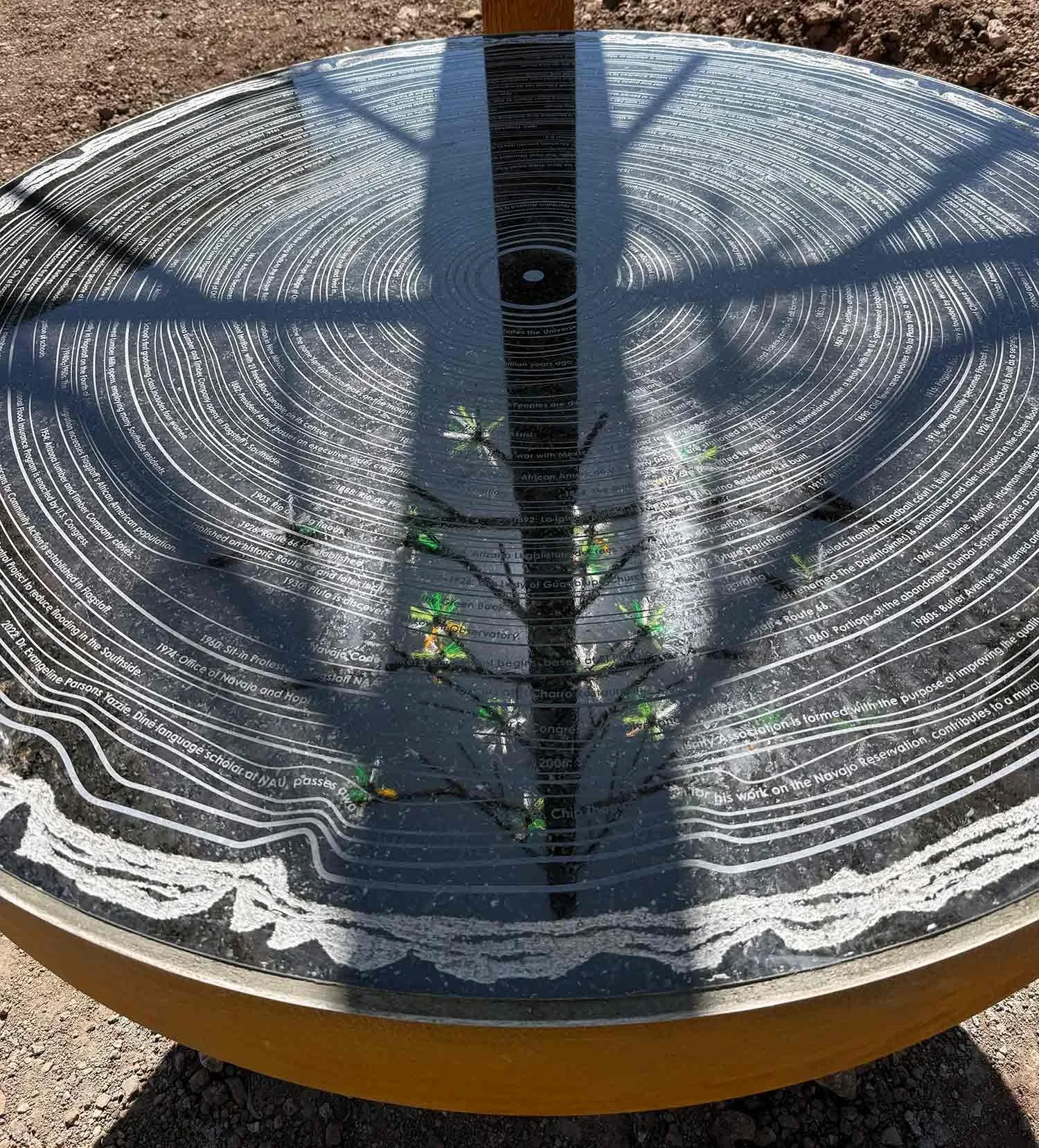 Southside GroveTimetable-tree-reflection.webp