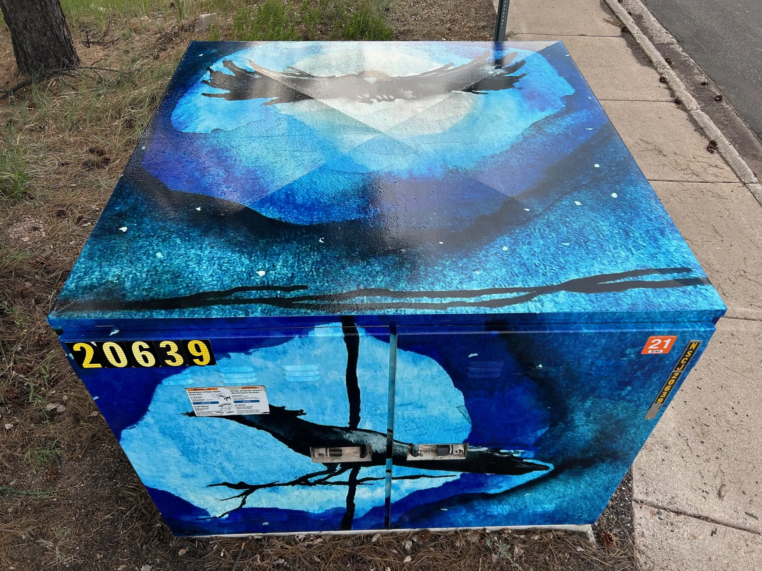 midnight ravens3.jpeg