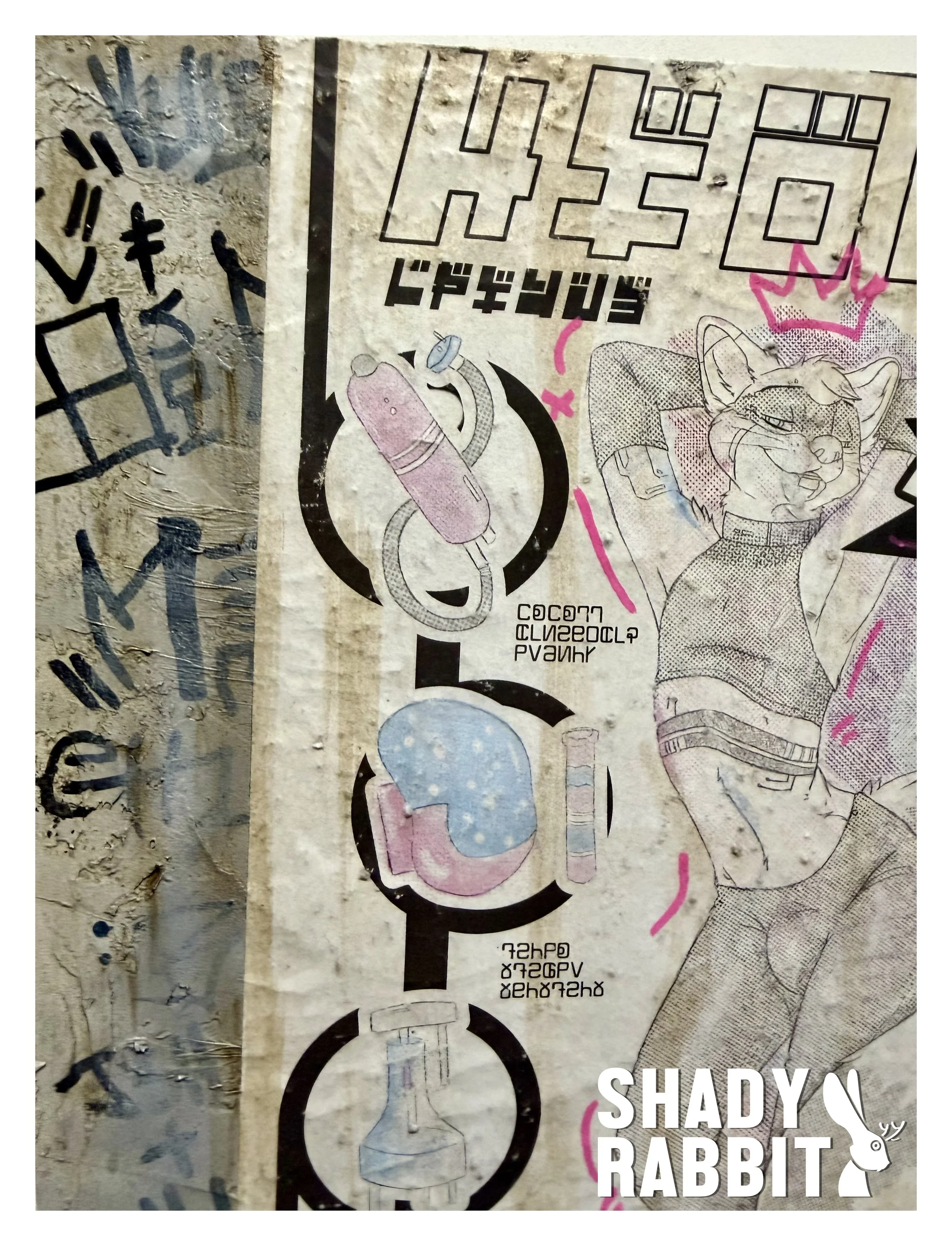 IMG_5840 40 Edited.jpg