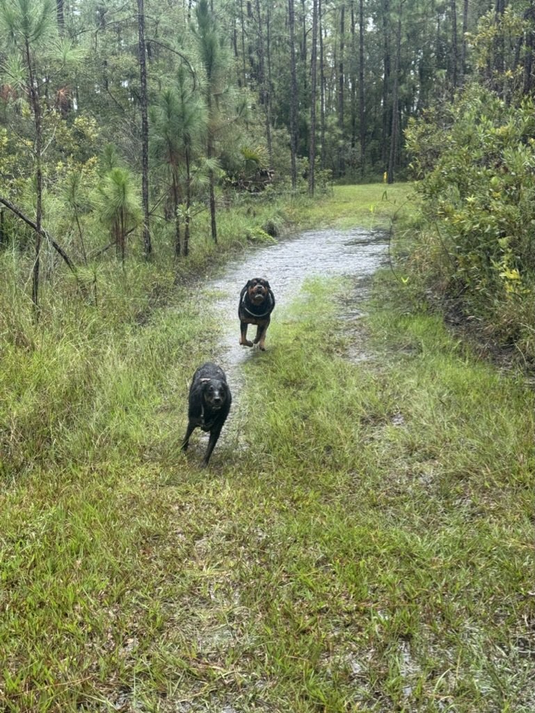 Trail Walk Outings (Weekly Premium Adventure Walks)