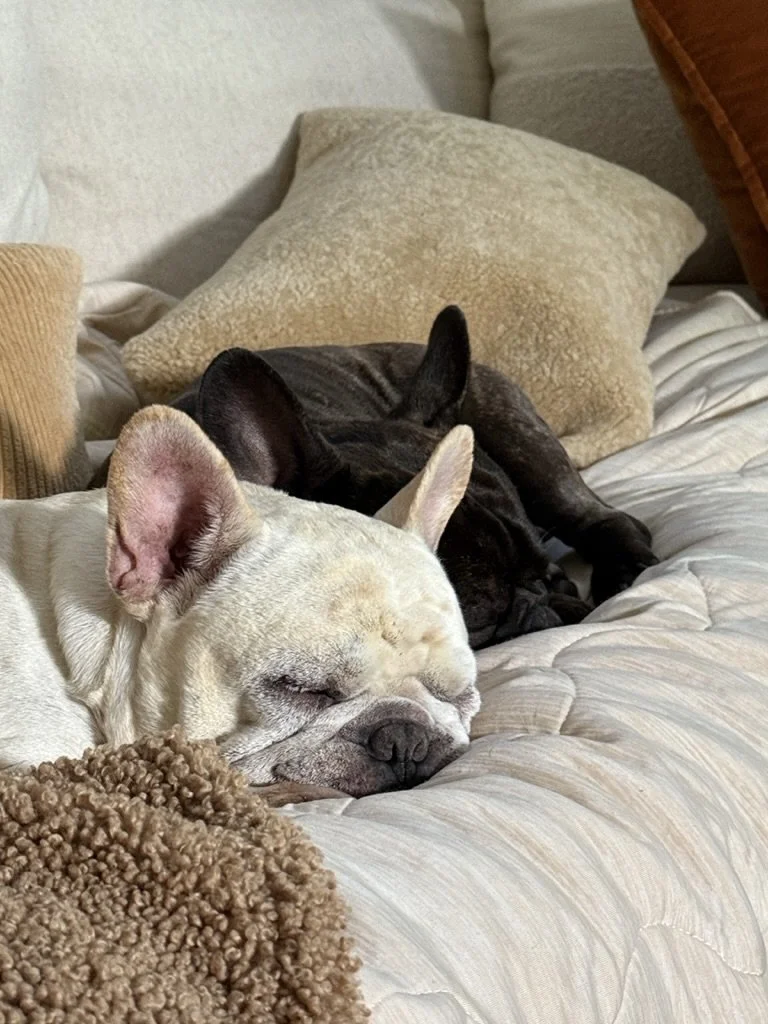 In-Home Overnight Stay