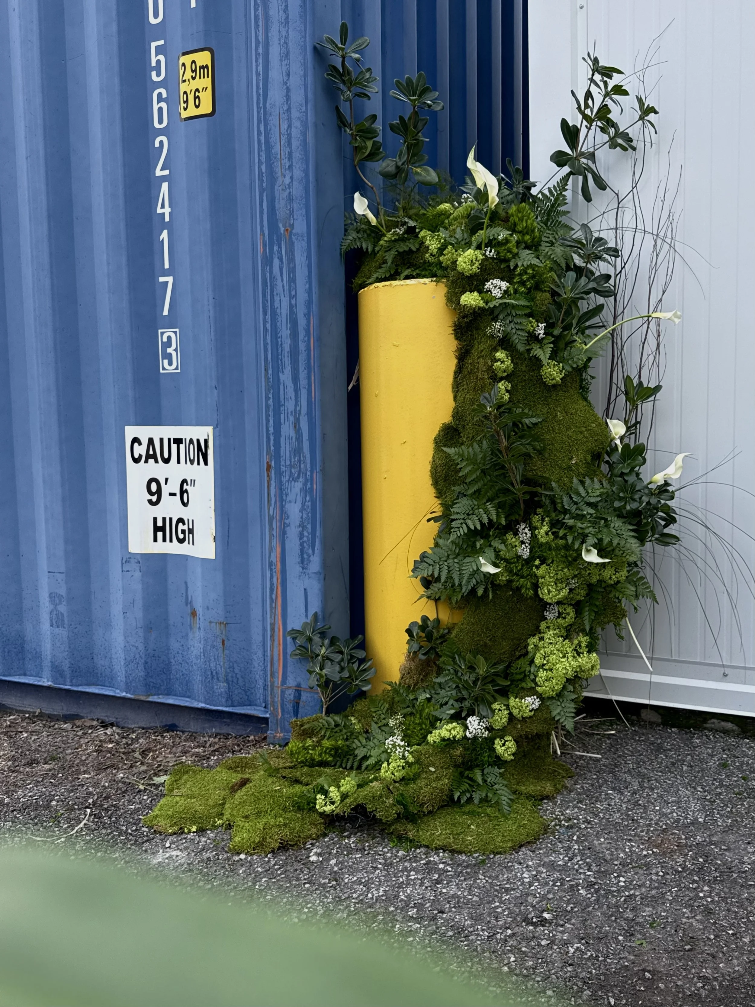 Une décoration florale avec des plantes vertes et des fleurs blanches disposée à côté d'une barrière en métal bleue avec des indications de hauteur en mètres et en pieds.