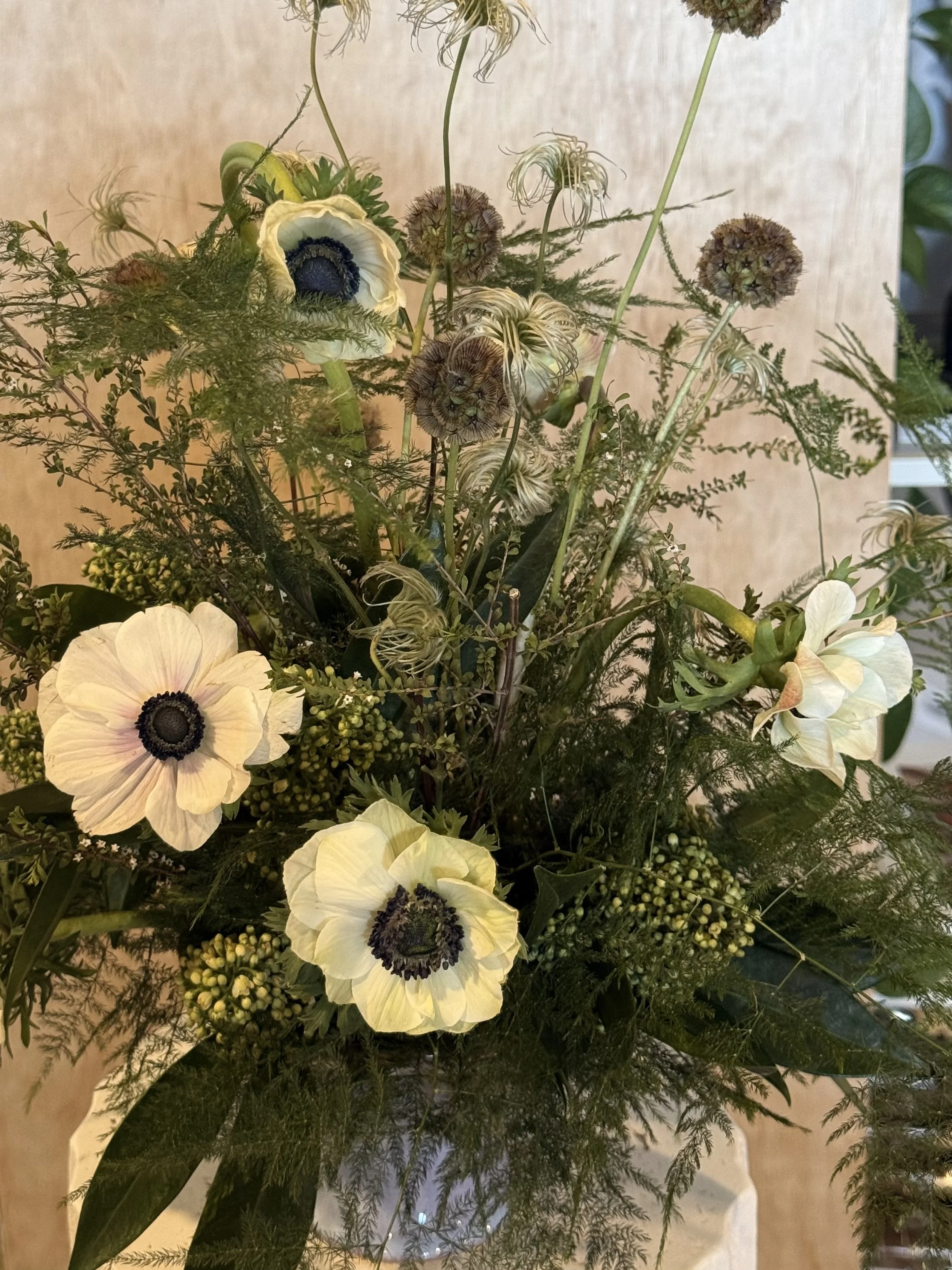 Bouquet de fleurs avec des anémones blanches et des fleurs brunes, accompagnées de feuillage vert foncé et de quelques tiges délicates sur un fond de mur beige.