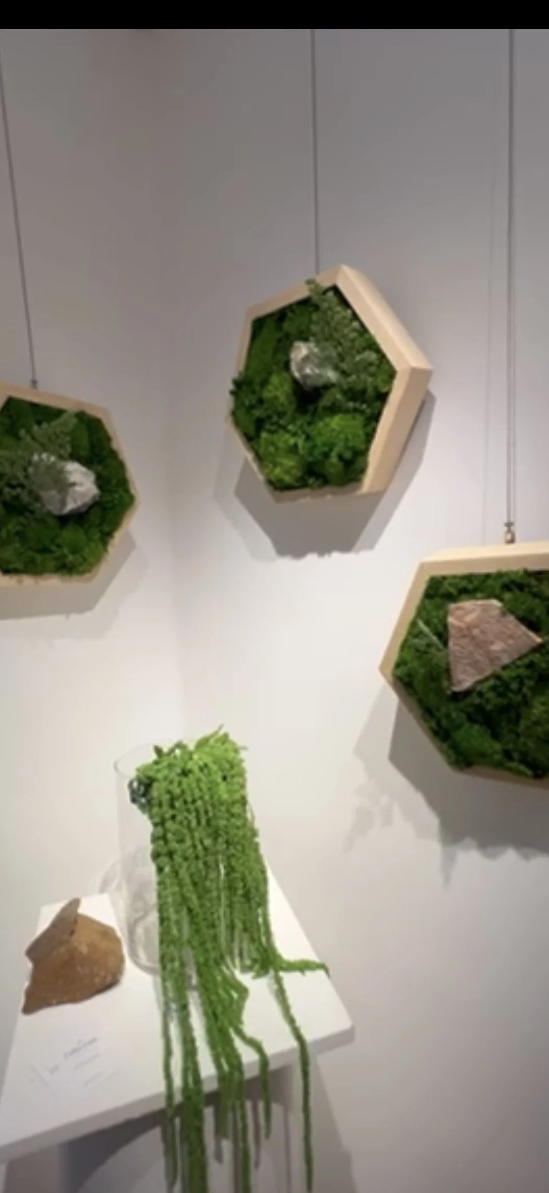 Dessins muraux en forme d'hexagones avec des plantes vertes et roches, installation artistique dans une galerie