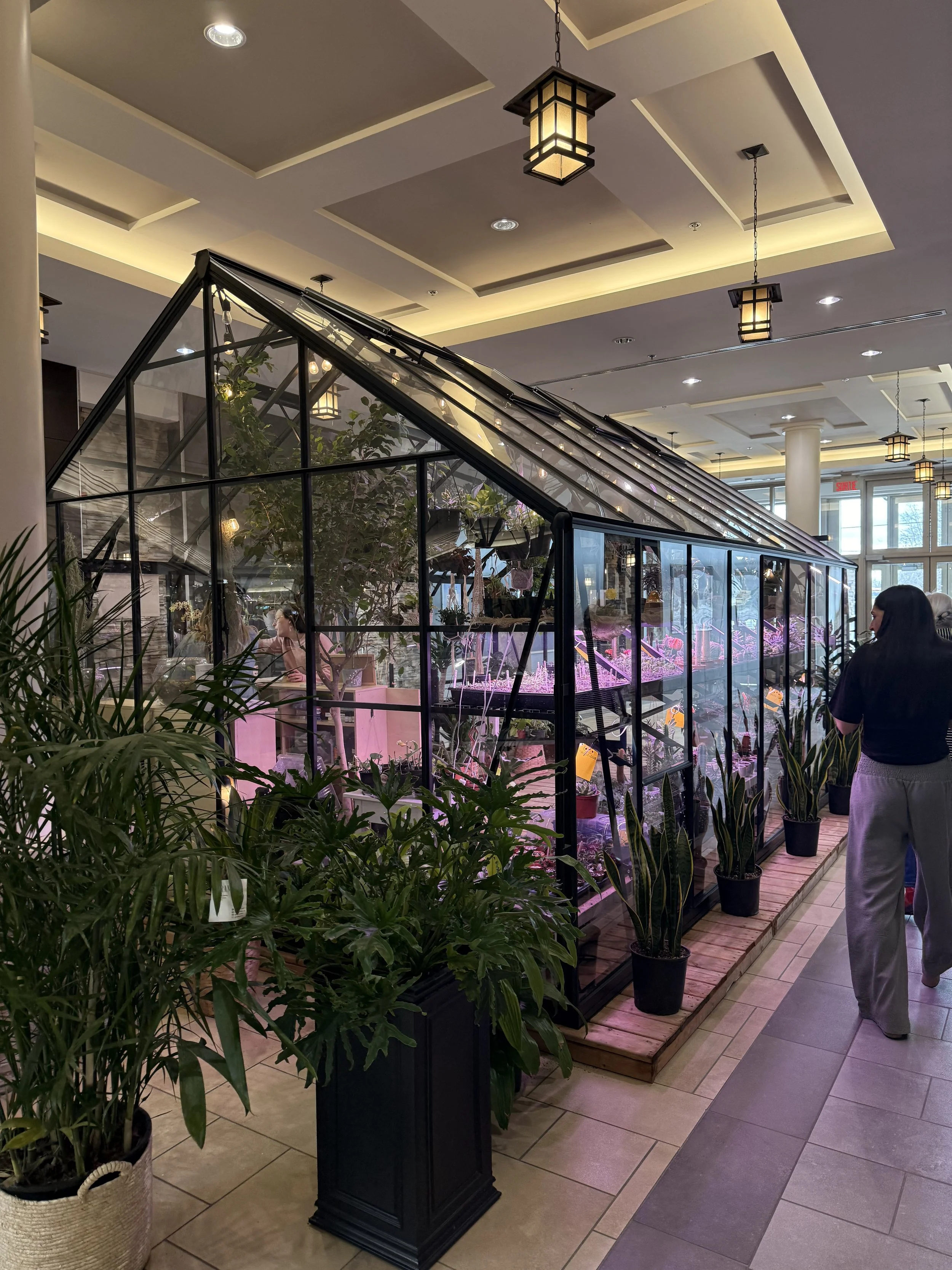 Une serre en verre avec des plantes à l'intérieur, située dans un hall éclairé avec un plafond moderne et des plafonniers. Il y a deux personnes visibles, une femme assise devant la serre et une autre se tenant à droite.