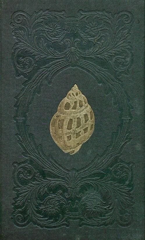 December Venus-Scape: 