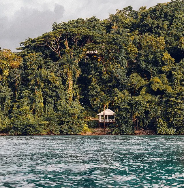 View of a lush green tropical forest on a hillside with a small white gazebo near the water's edge and a house partially obscured among the trees.