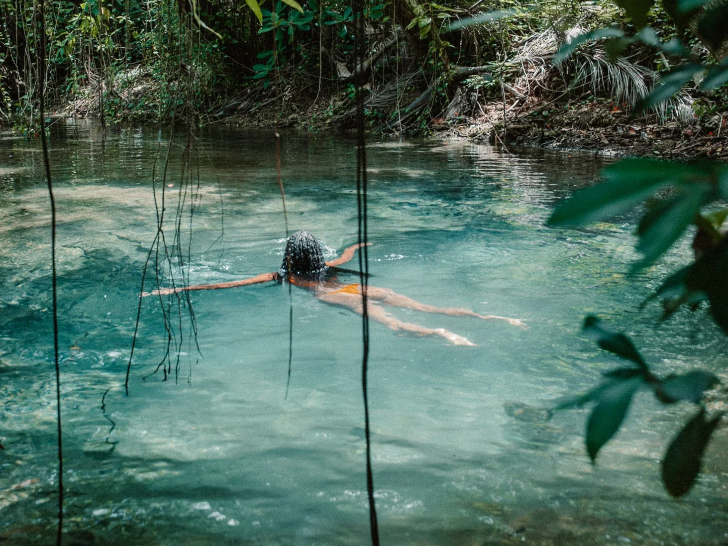 A person swimming in a natural freshwater pool surrounded by lush greenery and tropical plants.
