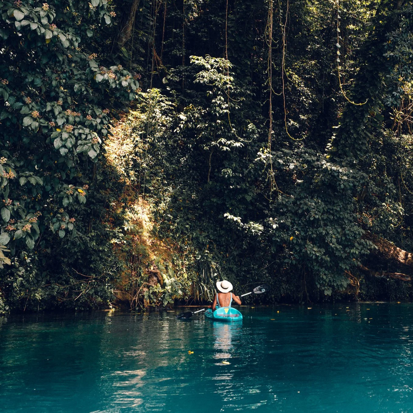A person kayaking in a body of water surrounded by lush green trees.