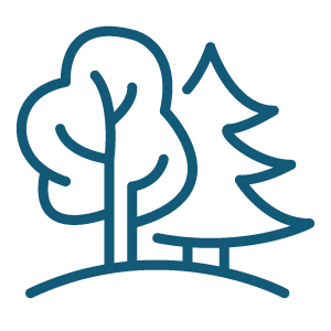 parks and public spaces icon