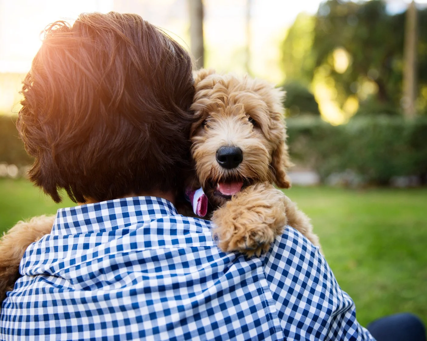 faded image of man holding dog