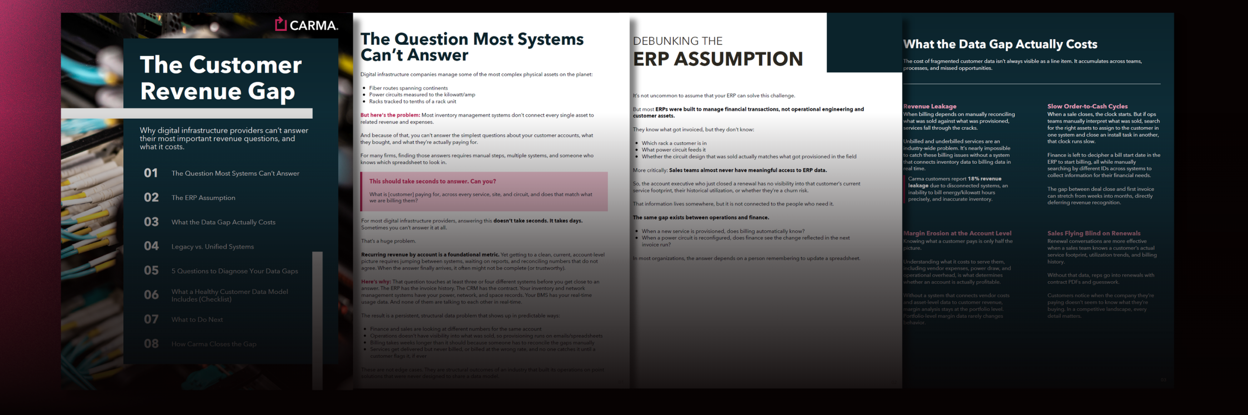 Sample pages from Carma's Guide: The Customer Revenue Gap