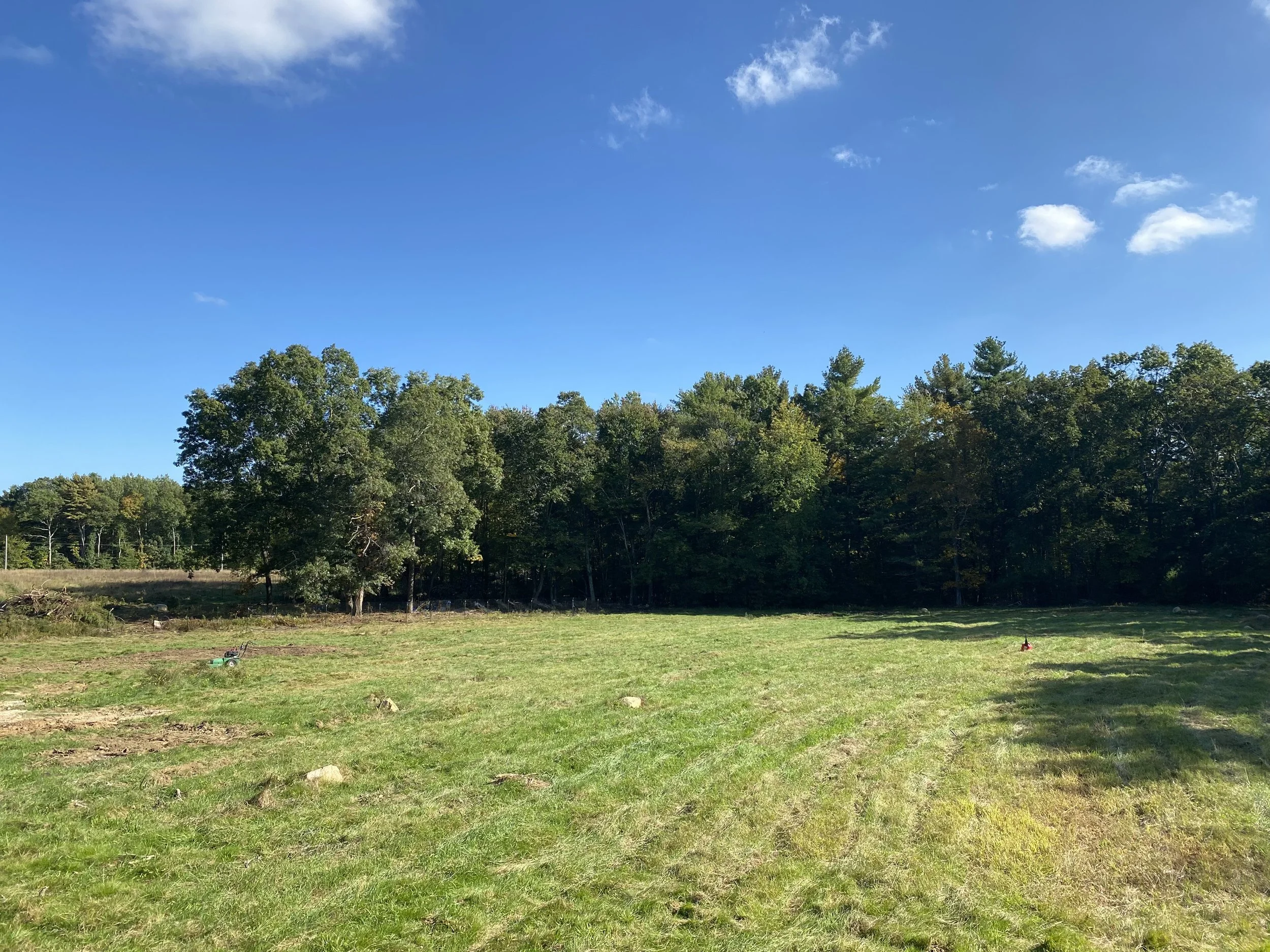 A grassy field with trees in the background under a blue sky with a few white clouds.