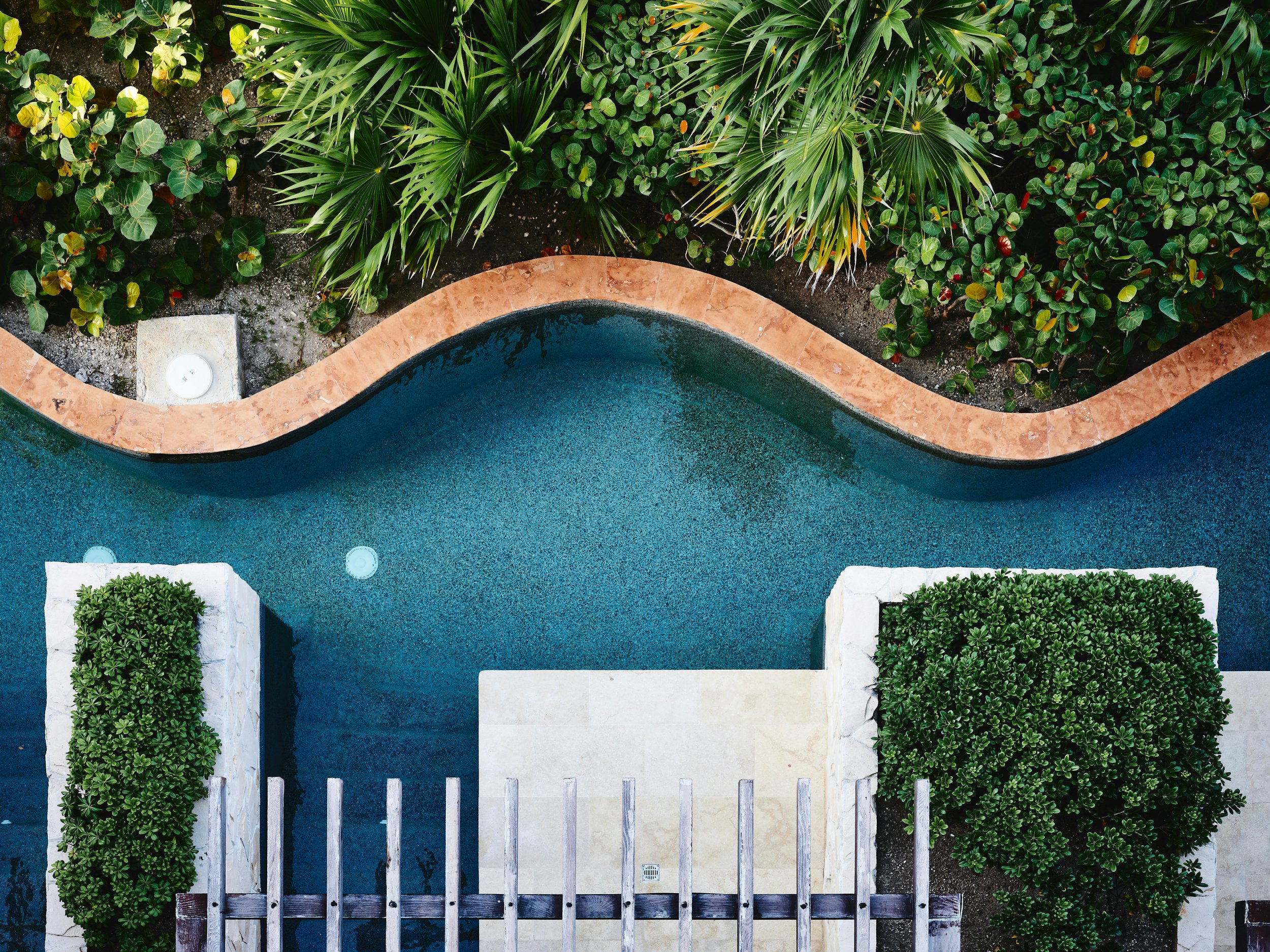 A top-down view of a swimming pool with a curved edge, surrounded by lush green tropical plants and bushes, with a wooden fence at the bottom.