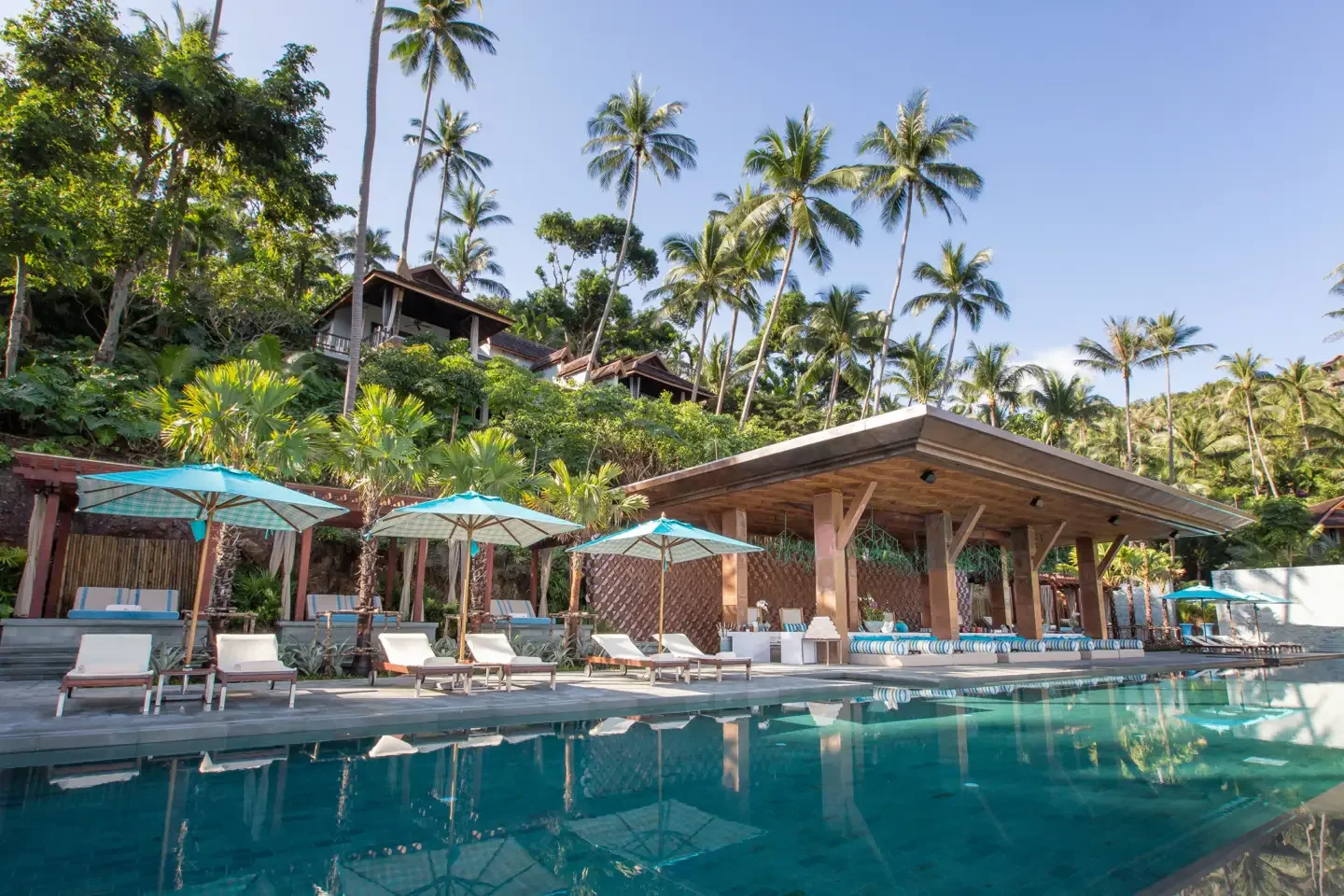 Resort pool with lounge chairs and umbrellas surrounded by lush greenery and palm trees under a clear blue sky.