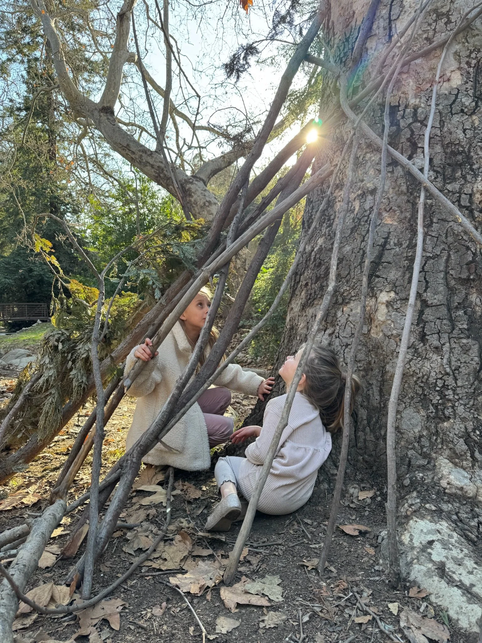 SUMMER CAMP  $500 Week 1: June 15-19