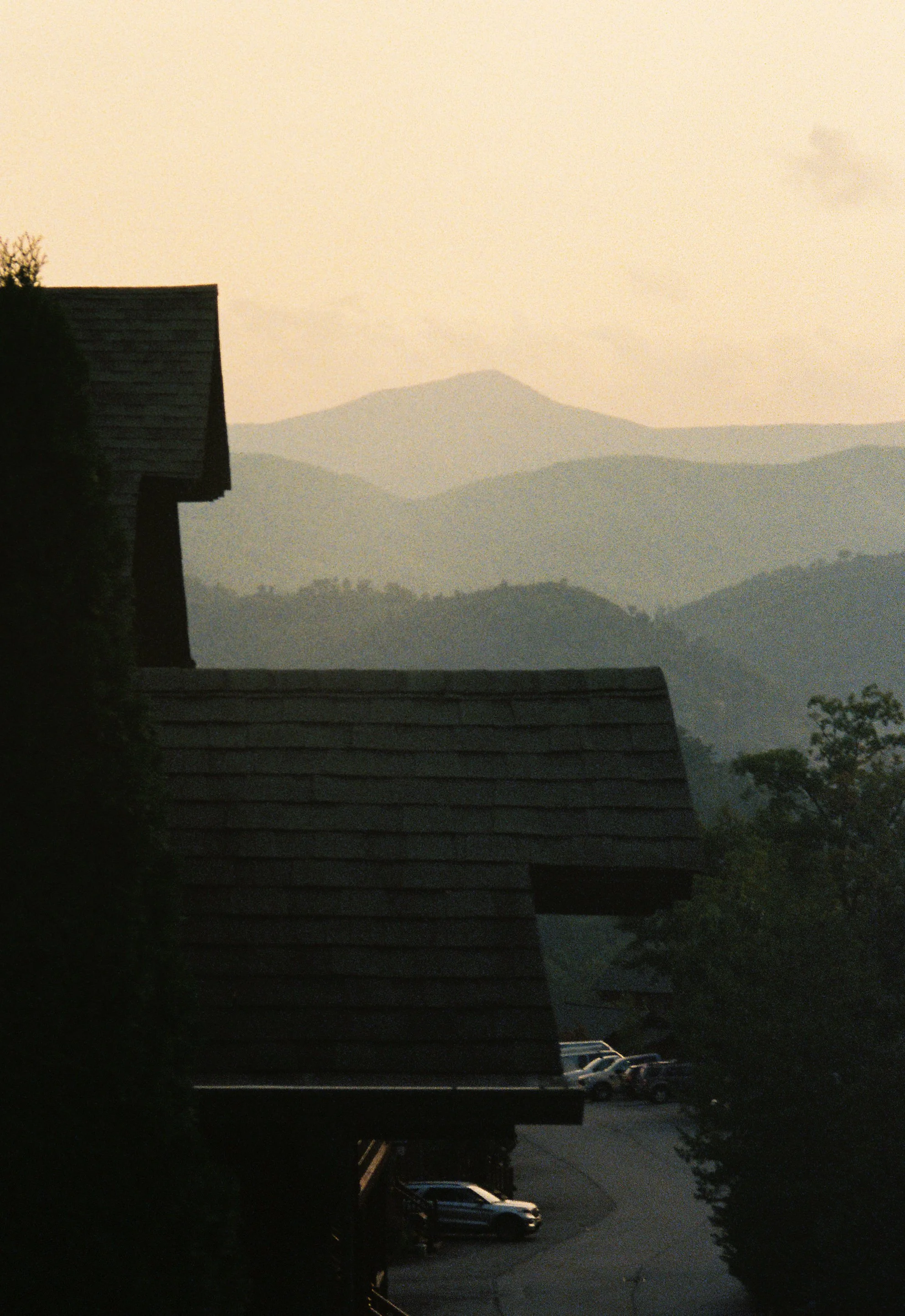 Photo Jan 25 2026, 11 51 09 AM.jpg