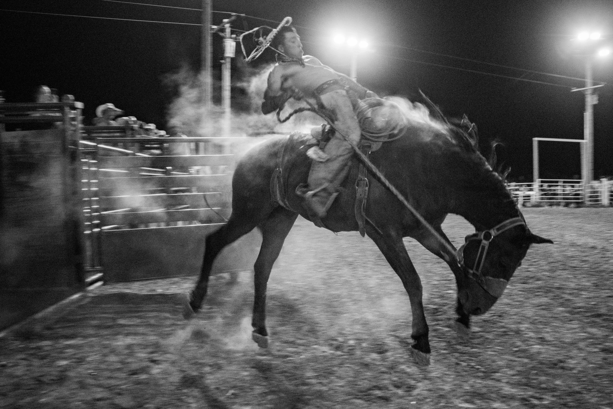002 WIld Ride, Eagle Butte, SD