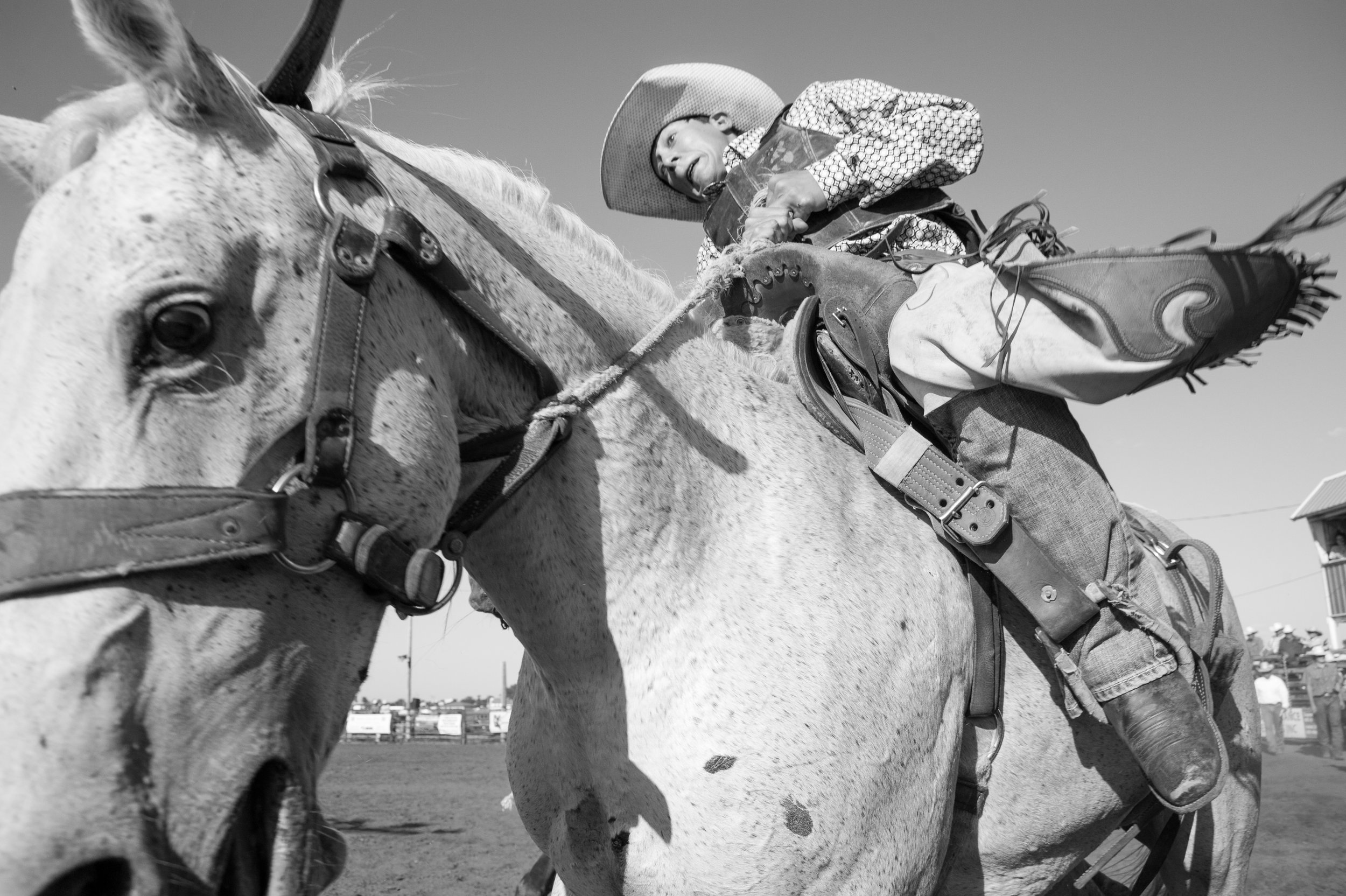 012 Oh Brother
