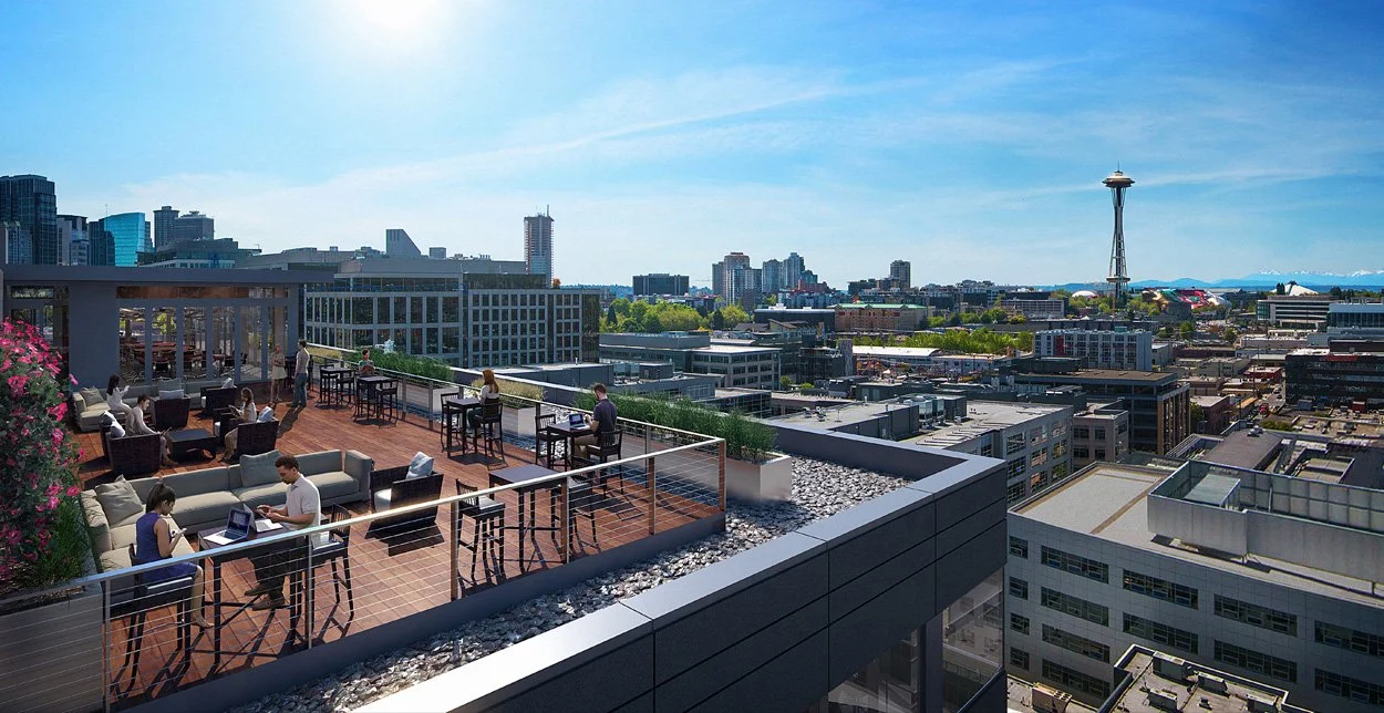 Amazon_Amelia_Rooftop.jpg