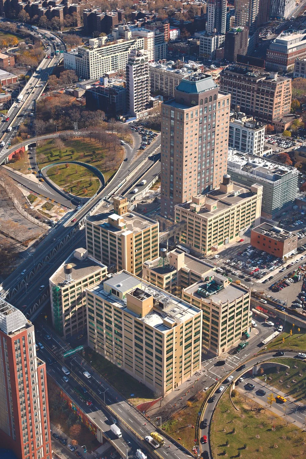 Dumbo Heights