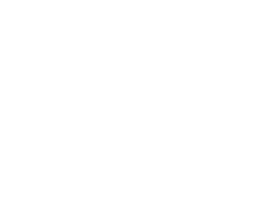 Empty white background with no objects visible.