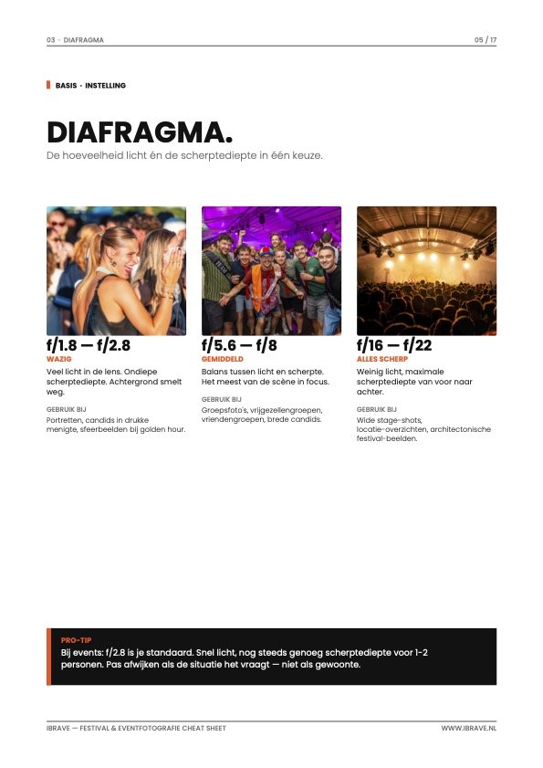iBrave_Festival_Eventfotografie_Cheat_Sheet foto 2.jpg