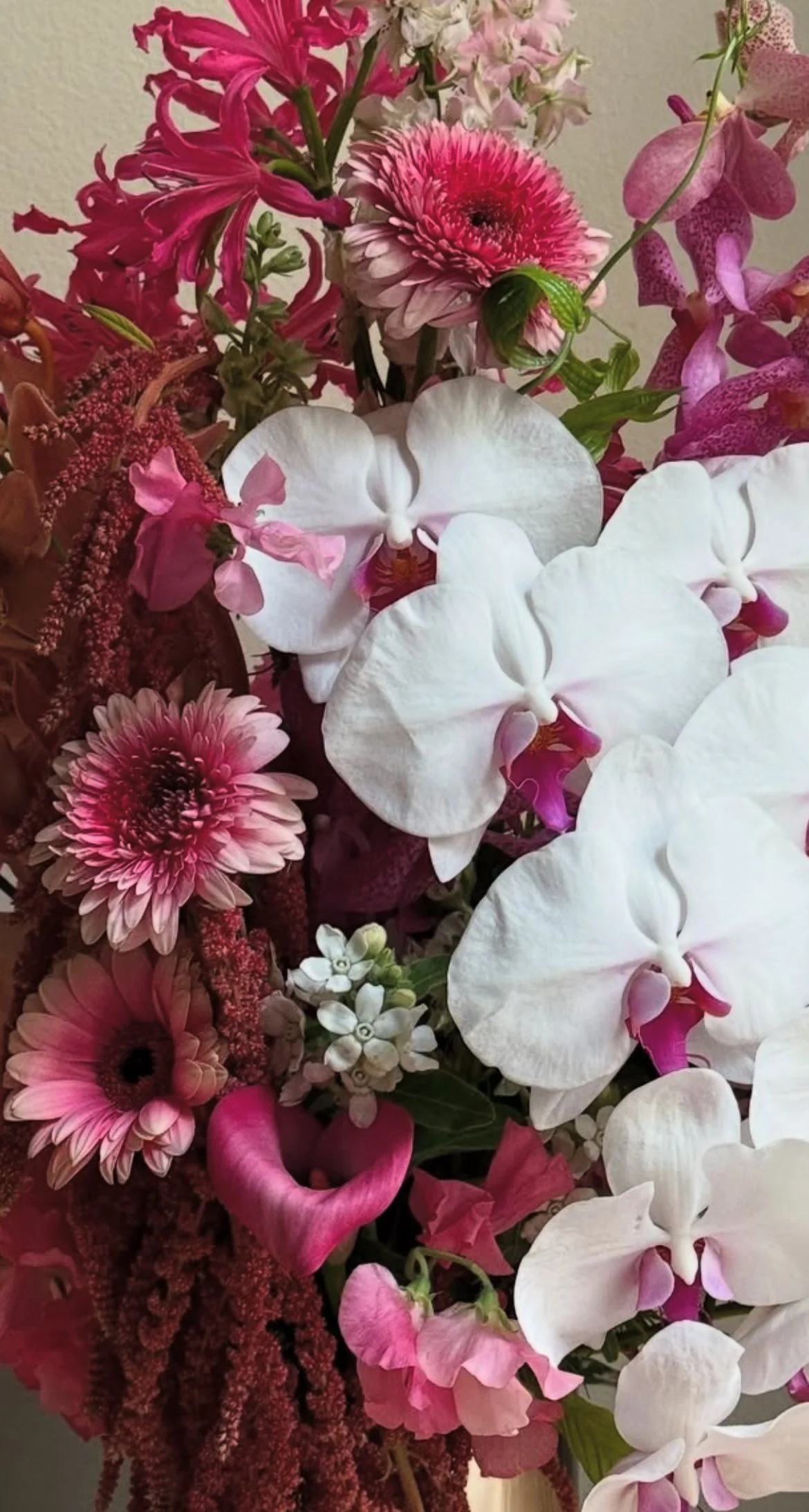 PRE ORDER- VALENTINE'S DAY