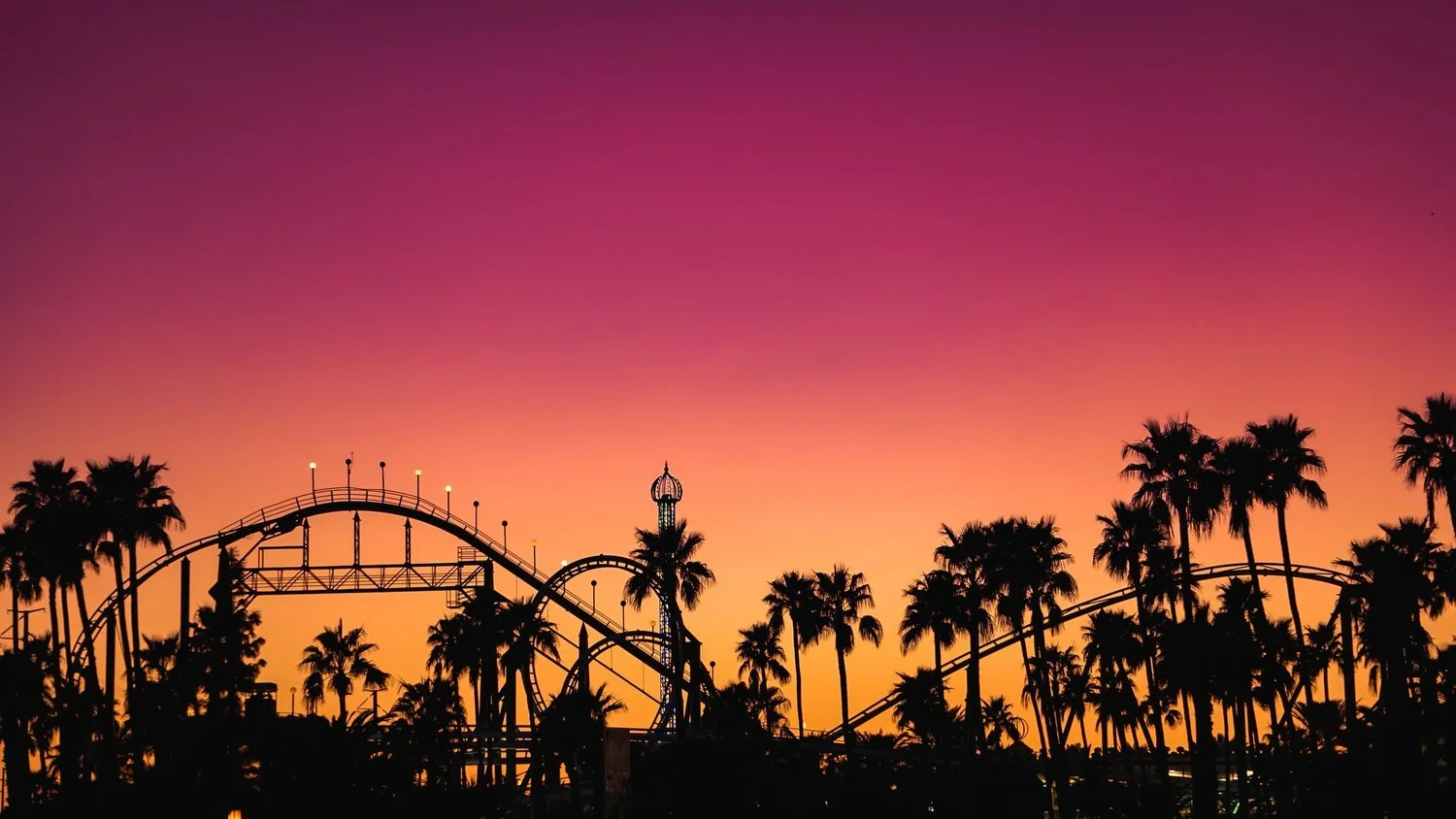 Silhouette of a roller coaster and tall palm trees against a colorful sunset sky with pink, orange, and purple hues.