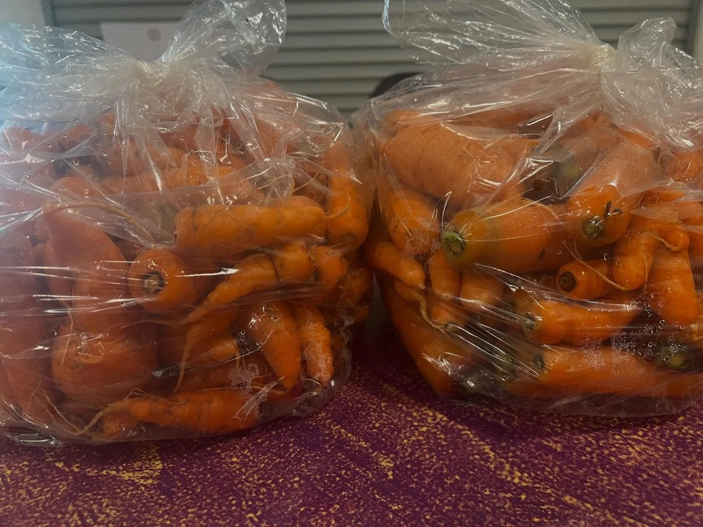 Fresh gown local carrots from William Hennpenn and they are going to make the best Miso Carrot Soup for our seniors. @burbankhousingcorp @epicureansonoma @sheanadavis @fishsonoma @indextribune @pressdemo @farmtopantry