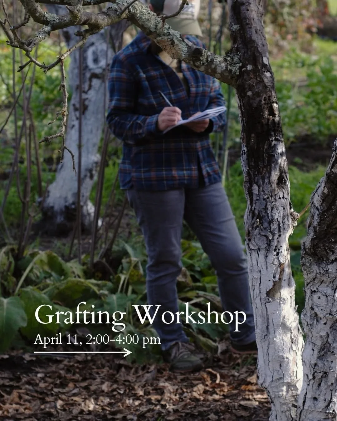 FREE:  April 11, learn all about proper grafting techniques from local horticulturalist Thomas Perot at Sonoma Garden Park!

Interested in taking the health of your fruit trees into your own hands? This interactive, beginner-friendly workshop is for 