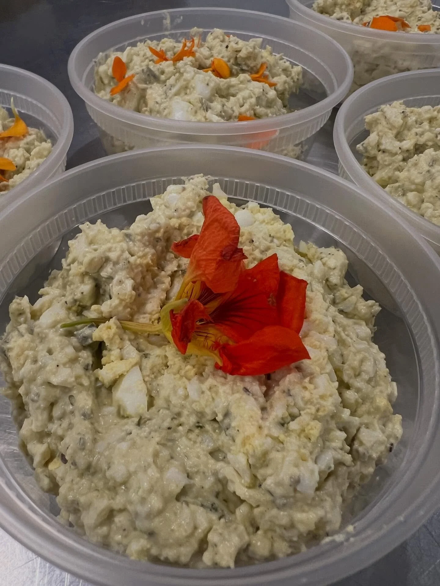 Egg Salad, Potato Salad and Pasta Salad for our seniors this week!  They love a good healthy salad selection.  @burbankhousingcorp @sheanadavis @epicureansonoma @fishsonoma @farmtopantry @vintagehousesonoma @svchc_sonoma