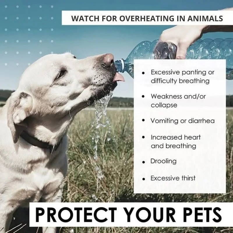 🐾🌡️☀️ Protect your pets during this heat &mdash; Proteja a sus mascotas durante este calor 🐾🌡️☀️ 

[En espa&ntilde;ol abajo]
Heat-related illness poses a serious threat to everyone, including our beloved pets and furry companions. Signs of overhe
