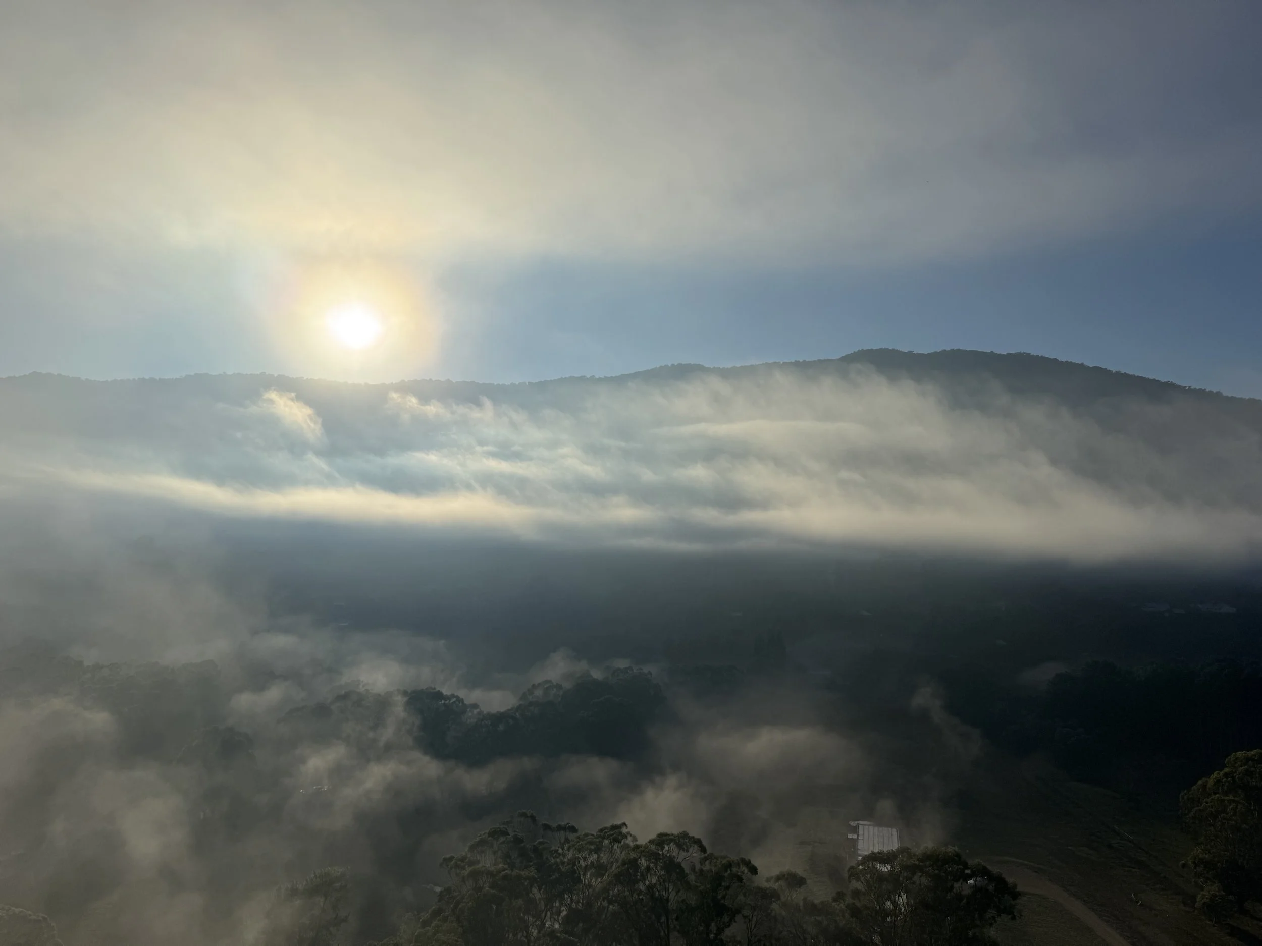 Birth chart astrological (written reading)