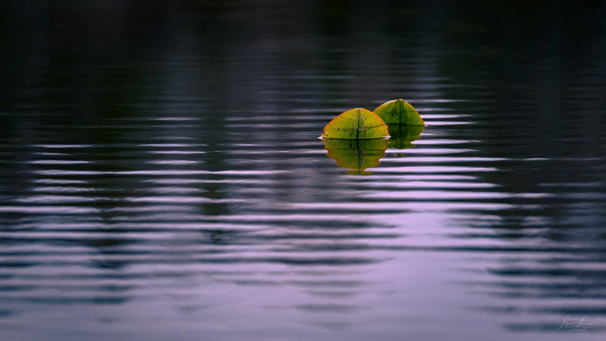 Minimalism
