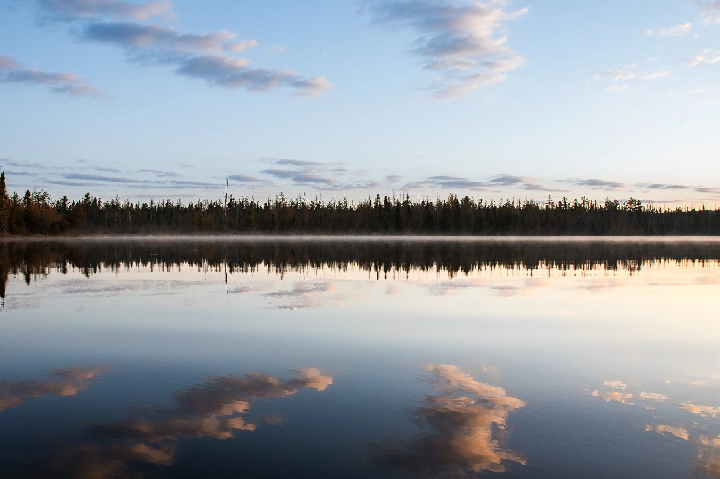 Mirrored