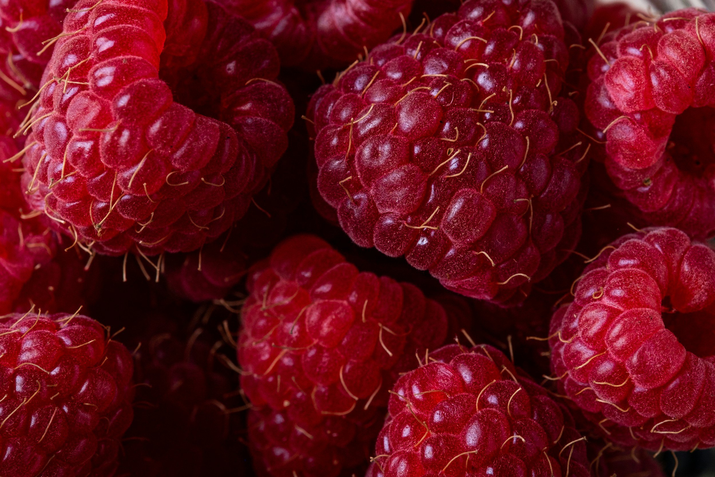 Close-up of fresh red raspberries.
