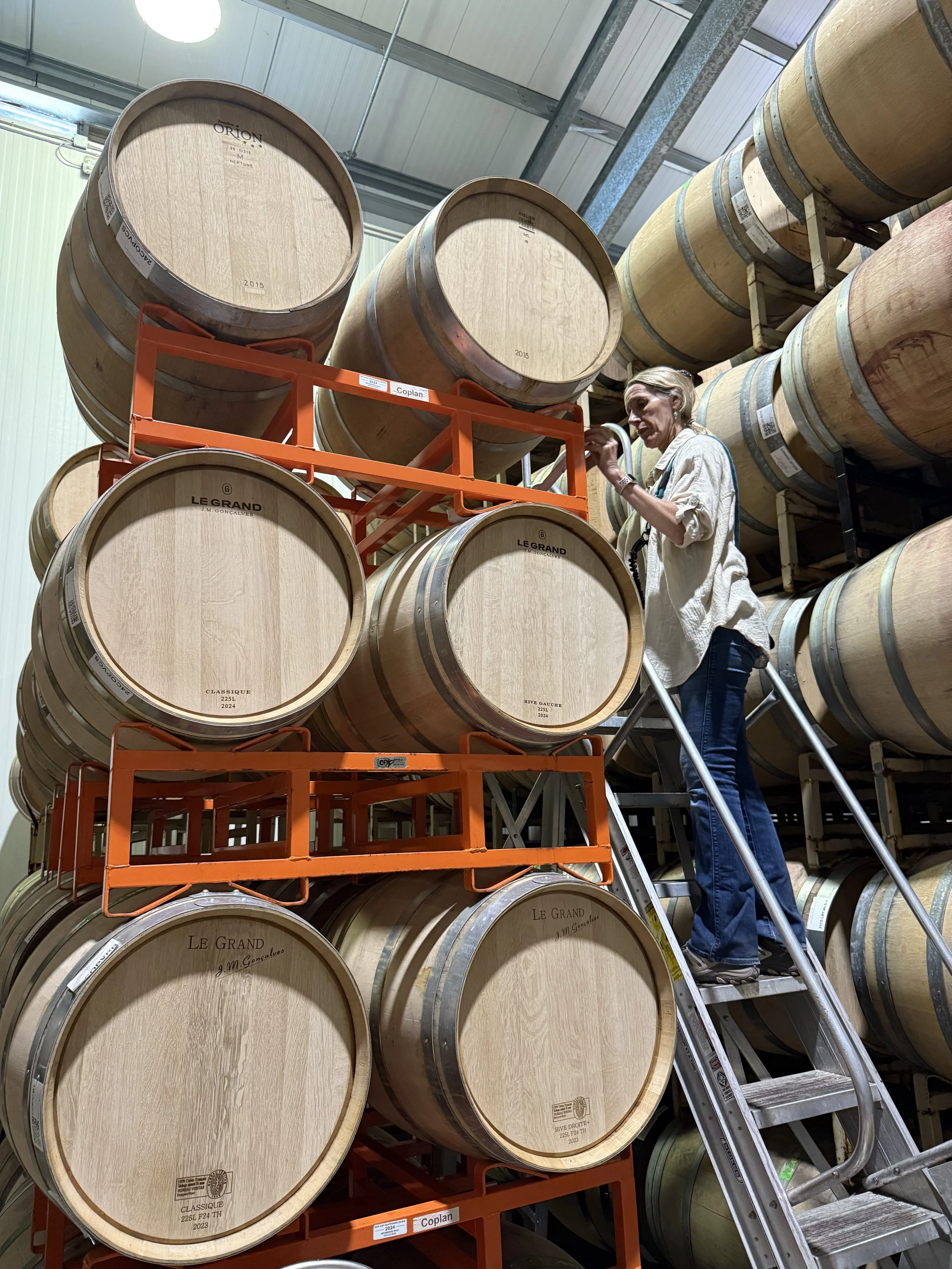 Woman on a ladder inspecting large wooden wine barrels stacked on orange racks in a warehouse.