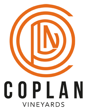 Copan Vineyards