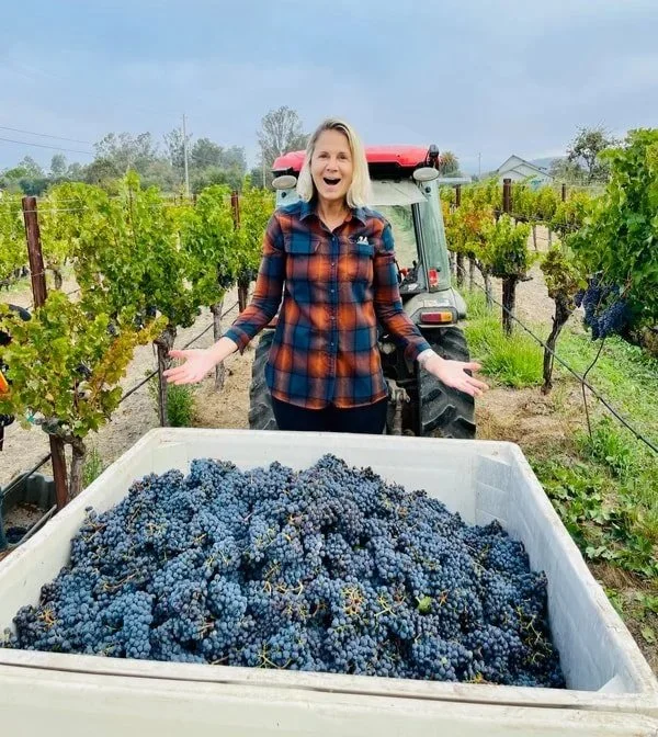 Carole Copland, Copland Vineyards, at the wine harvest.